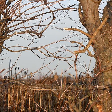 فندق Aschفي  De Betuwe المظهر الخارجي الصورة